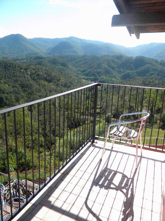 I Gelsi E I Castagni Villa Polverara Exteriör bild