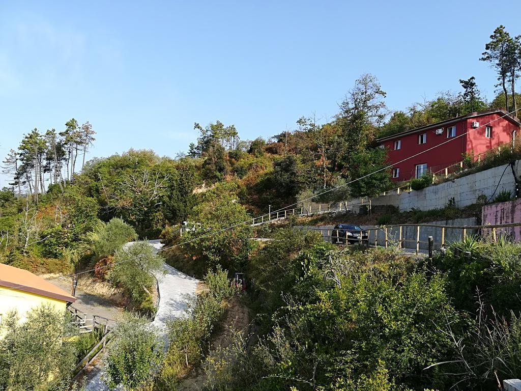 I Gelsi E I Castagni Villa Polverara Exteriör bild