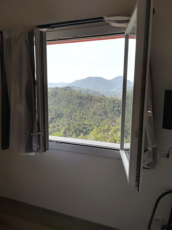 I Gelsi E I Castagni Villa Polverara Exteriör bild