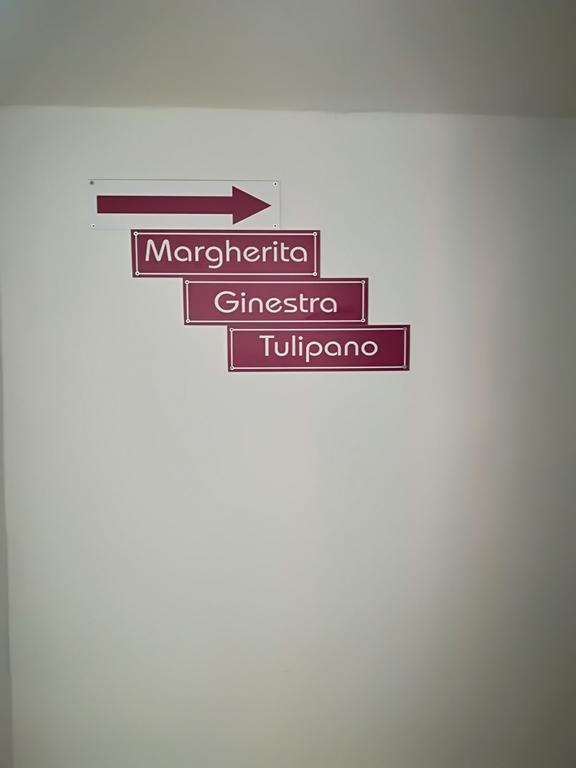 I Gelsi E I Castagni Villa Polverara Exteriör bild